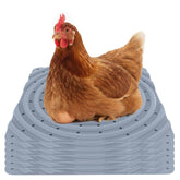 Lil'Clucker front packaging showing six gray reusable nesting pads and contents benefit