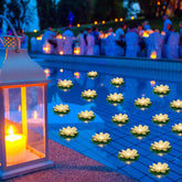 Liliful front view of 24-pack lotus lanterns showing set and color benefits