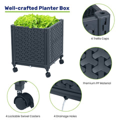 LINEX reservoir detail with filler port, enables efficient self-watering