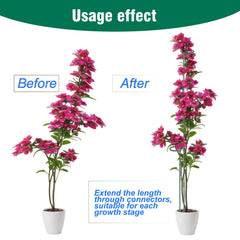 LINGHUI stake inserted in pot supporting tomato stem and healthy growth