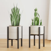 Linpla front view showing pair of stands and clean modern silhouette for display