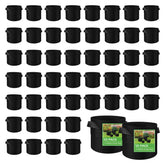 LITLANDSTAR front view of 50-pack grow bags showing quantity and compact packaging benefits