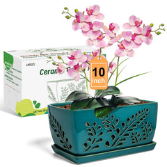 LKSSZS front view of rectangular orchid pot showing elegant display benefit