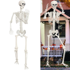 Lodou front view full body skeleton providing striking curb appeal