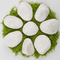 LOOIOOJ aquarium with white stones providing stable, non-floating substrate