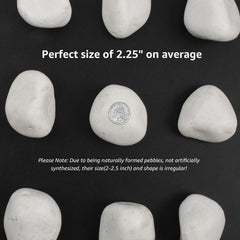 LOOIOOJ close-up polished pebble surface highlighting smooth texture and shine