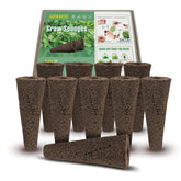 LotaByte front packaging showing 250-pack and benefits