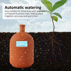 Lovely Ran buried olla in pot soil delivering steady moisture to plant roots