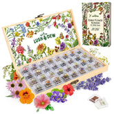 LUSH&DEWㅤ front view of open seed bank box showing organized compartments and variety