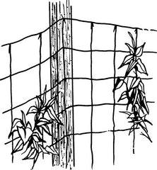 Luster Leaf trellis beside ruler showing 5x60 feet scale and coverage