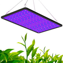 LUYIMIN front view full fixture showing coverage and uniform light benefit