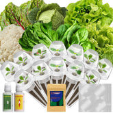 LYKOCLEAN front packaging showing full seed pod kit benefits