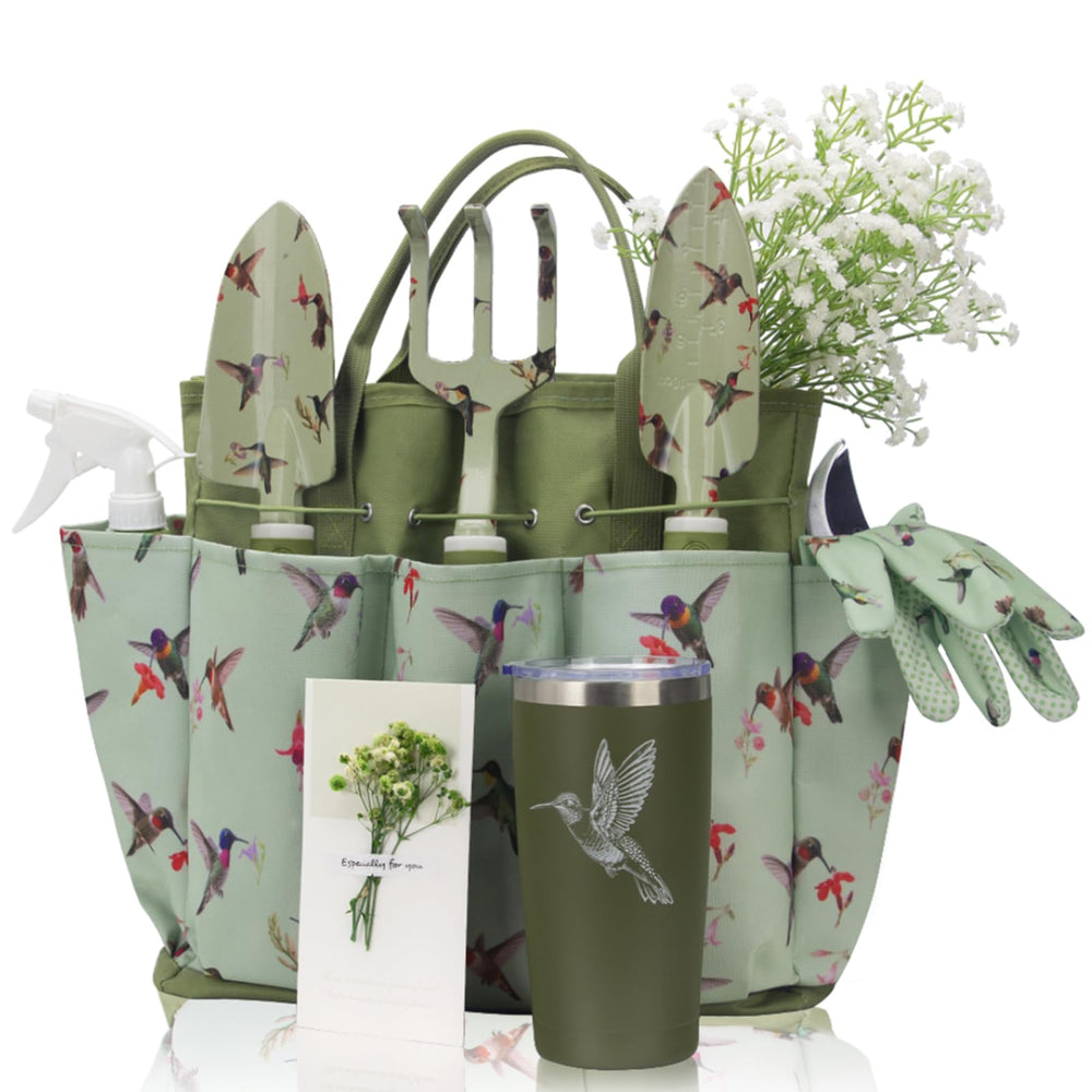 LZPTYYSN front packaging showing hummingbird box and complete set — attractive gift