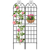 LZRS front view of iron arch showing elegant black frame and plant support