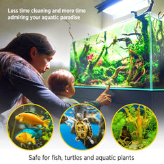 Magic Pond Rock near aquarium plants demonstrating safe plant-friendly benefit