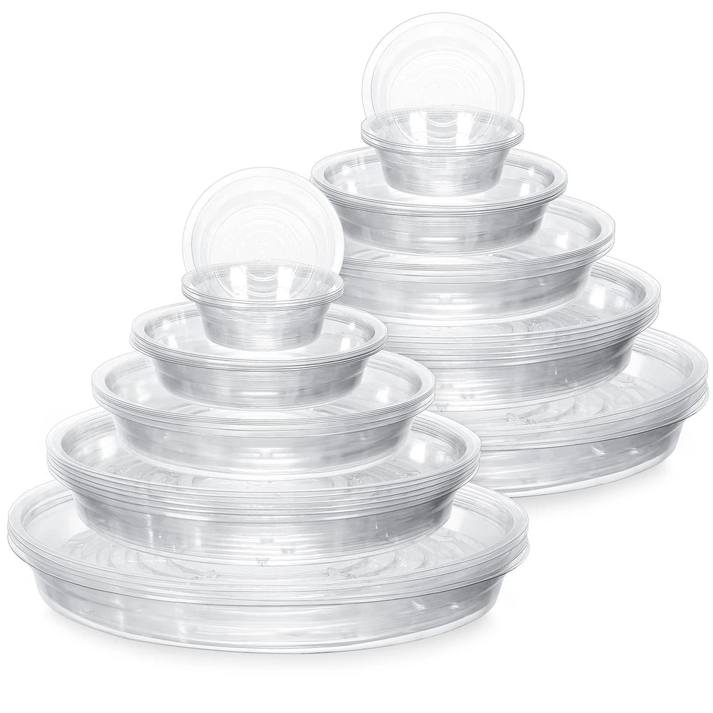 Marsui front view of 50-pack clear saucers showing full assortment and protection