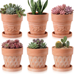 Maxdot front view of six-pack embossed pots showing neat set and styling benefit