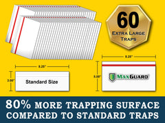 MaxGuard trap attached to a window capturing flies demonstrating quiet chemical-free control