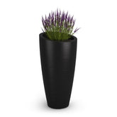 Mayne Modesto front view showing modern tapered shape and elegant black finish for curb appeal