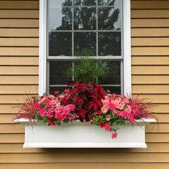 Mayne Yorkshire mounted on a windowsill with flowers showing easy, secure installation