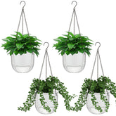 Meanplan clear hanging planter front view showing clean lines and visibility for monitoring