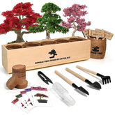 Meekear front packaging showing complete bonsai starter kit and contents