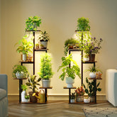 MemoCastle front view showing two tiered stands and balanced plant display benefit