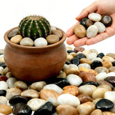 Mengdewei front packaging bag shows product label and mixed pebbles benefit natural decor