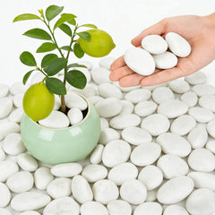 Mengdewei front packaging showing 12LB bag and white pebbles for easy selection