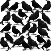Meooeck front packaging showing 24 black crow props for easy holiday setup