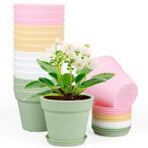 Meowell front view of 16-pack 6-inch pots showing organized display and easy styling