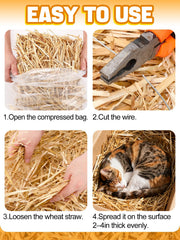 MEWTOGO straw spread in chicken coop improving comfort and dryness