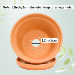 Mezchi side profile showing saucer fit and stable rim for surface protection