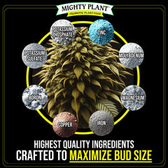 Mighty Plant being applied to flowering plant promoting denser buds