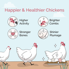 Mile Four grit in shallow dish beside feeder, keeps chicks self-regulating