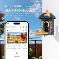 Minikey close-up of camera lens and wide-angle glass benefit: expansive bird capture