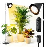 MistyJungle front view of lamp showing sleek shade and plant benefit
