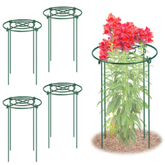 MJZ front view of assembled peony cage showing sturdy support and tidy plants