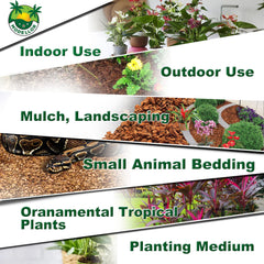 MODELLOR used as orchid potting blend showing better root breathability