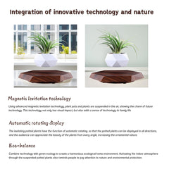 MOOCCI close-up resin texture of planter showcasing premium finish