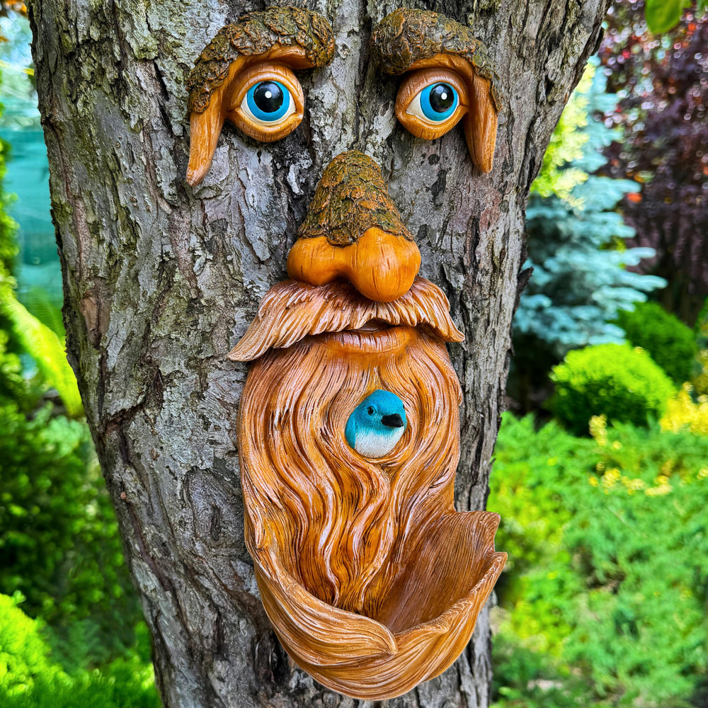 Mood Lab front view of tree face showing friendly character and focal interest