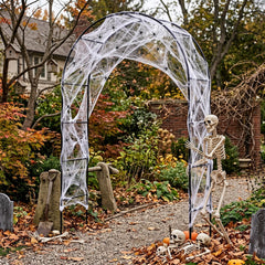 MorningRo arch front view showing dramatic haunted entrance and curb appeal