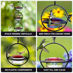 Mosaic Birds circular perch with a hummingbird resting, provides comfortable feeding support