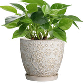 MPotTo front view of white ceramic pot showing elegant silhouette and instant decor uplift