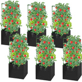 MQHUAYU front view showing cage and grow bag, sturdy support for tall plants