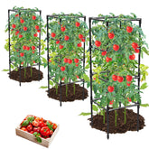 MQHUAYU front view of three black square tomato cages showing sturdy structure and space