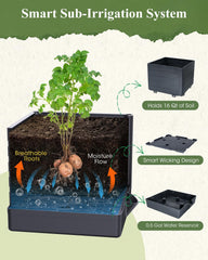 MQHUAYU top view showing deep soil capacity for larger root systems and stability