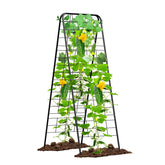 MQHUAYU trellis front view showing sturdy A-frame and compact footprint