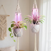 MSFON macrame hanger front view showing boho style and plant display benefit