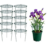 MTB Garden front packaging showing 10-pack and contents for quick setup
